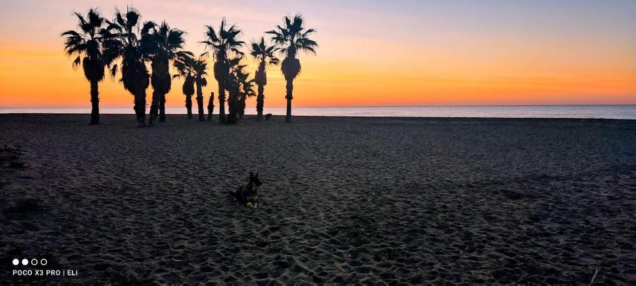 Encantador Apto En La Playa Комарруга Екстер'єр фото