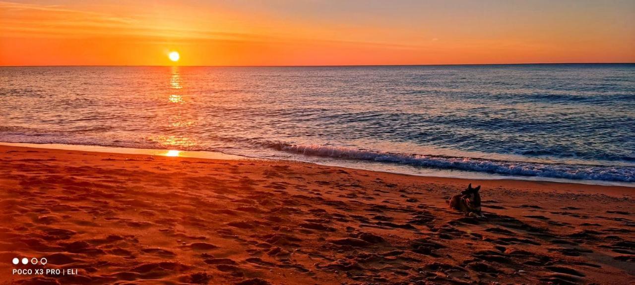 Encantador Apto En La Playa Комарруга Екстер'єр фото